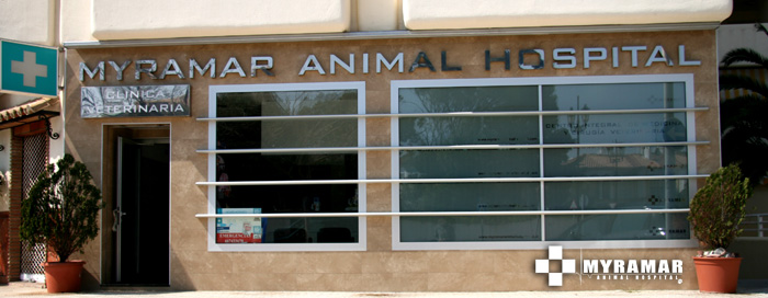 Clínicas Veterinarias en Fuengirola Clínicas Veterinarias en Fuengirola