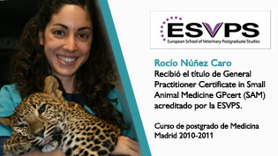 Imagen: core_media/myramar/noticias/rocio/cabecera.jpg