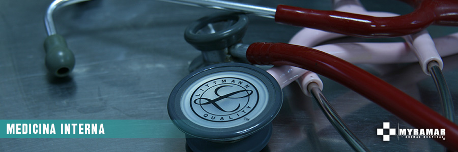 Imagen: Medicina interna y general. Myramar Animal